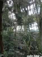 Ботанический сад кадр из фильма