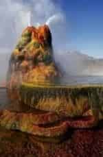 Чудеса природы кадр из фильма