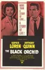 Чёрная орхидея кадр из фильма