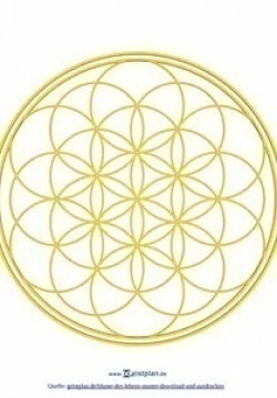 Цветок жизни