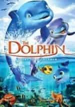 Дельфин: история мечтателя кадр из фильма