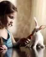 Девочка и зайцы кадр из фильма