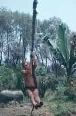 Дикая ярость Тарзана кадр из фильма