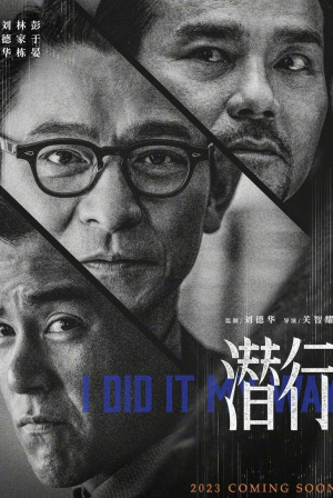 Двойная игра