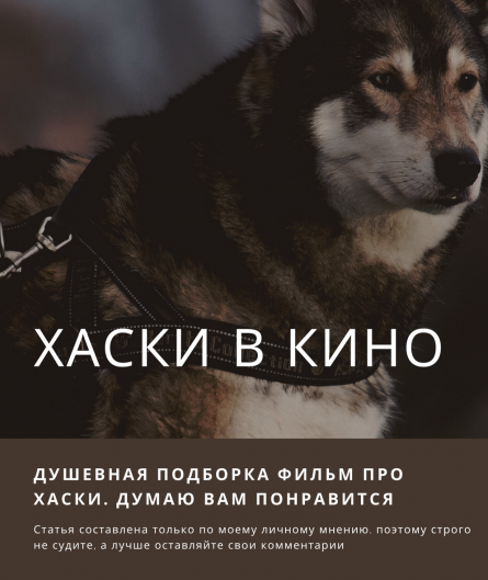 Во всем мире знают, что Хаски - настоящие герои: лучшие фильмы о безупречных псах в истории кинематографа