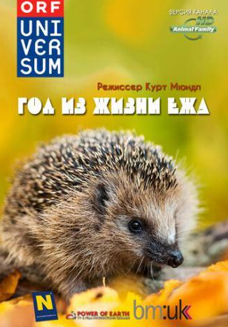 кадр из фильма Год из жизни ежа