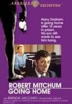 Иди домой кадр из фильма