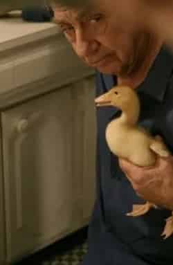 Икс-утки кадр из фильма