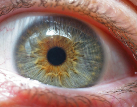 Почему кареглазый малыш у голубоглазых родителей - редкость: научно доказываем вероятность близка к нулю