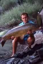 Карпфишинг кадр из фильма