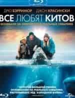 Кит Stupid show кадр из фильма