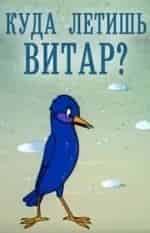 Куда летишь, Витар? кадр из фильма