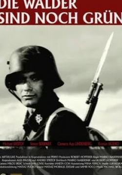 Леса все еще зелены