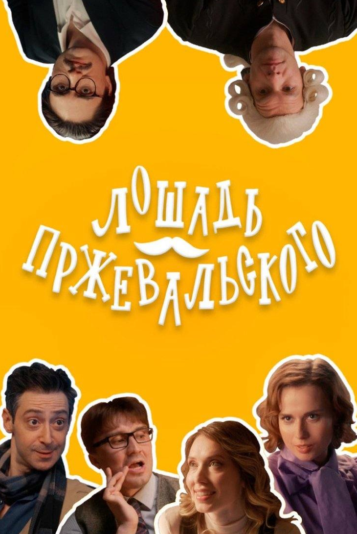 Лошадь Пржевальского