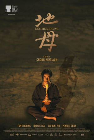 Фань Бинбин и фильм Мама Бхуми (2025)