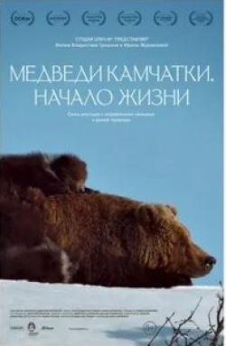 кадр из фильма Медведи Камчатки. Начало жизни