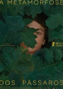 Метаморфоза птиц