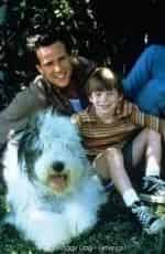 Мохнатый пёс кадр из фильма