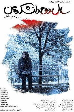 Моя жизнь на втором курсе