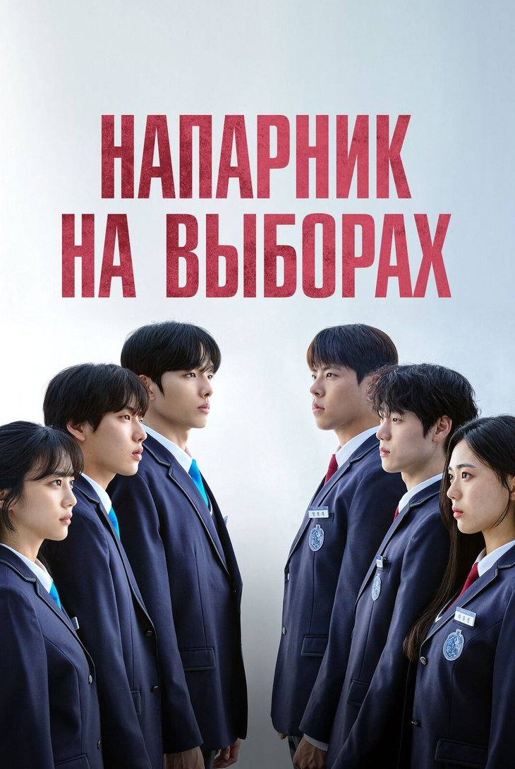 Напарник на выборах