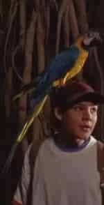 Наполеон кадр из фильма