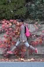 Охота к перемене мест кадр из фильма