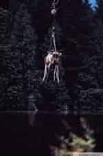 Велизар Бинев и фильм Озеро страха-3 (2010)