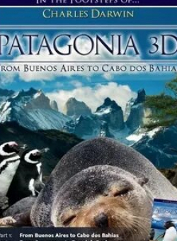 Патагония 3D: По следам Дарвина кадр из фильма