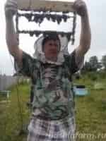 Пчеловодство в Башкирии кадр из фильма