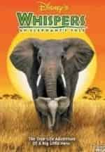 Приключения слона кадр из фильма