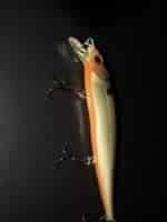 Приманка кадр из фильма