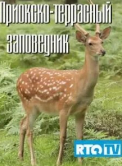 Приокско-террасный заповедник кадр из фильма