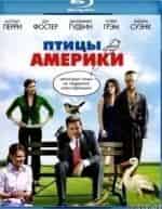 Птицы Америки кадр из фильма