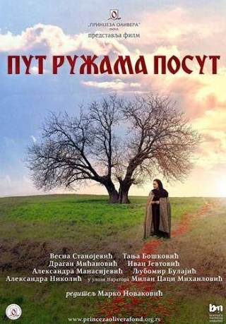кадр из фильма Путь, усыпанный розами