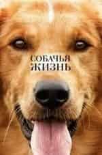 Развод по-собачьи кадр из фильма