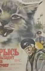 Рысь выходит на тропу кадр из фильма