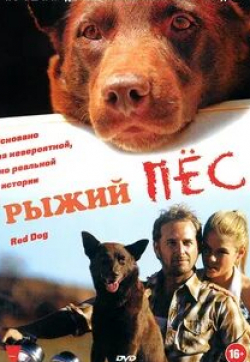 кадр из фильма Рыжий пес