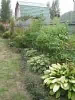 Шесть соток кадр из фильма