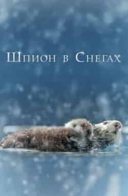 Шпион в снегу кадр из фильма