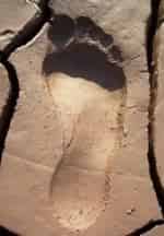 Следы империи кадр из фильма