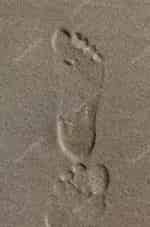 Следы на песке кадр из фильма