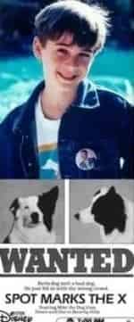 Собачий секрет кадр из фильма