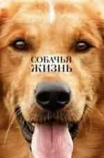 Собаки и мы кадр из фильма