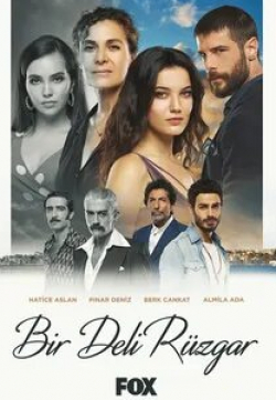 кадр из фильма Сумасшедший ветер