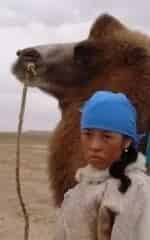 Свадьба Туи кадр из фильма