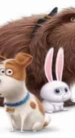 Тайная жизнь собак кадр из фильма