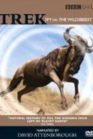 Дэвид Аттенборо и фильм Trek: Spy on the Wildebeest (2007)