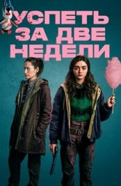 Успеть за две недели