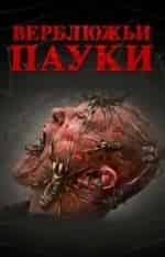 Верблюжьи пауки кадр из фильма