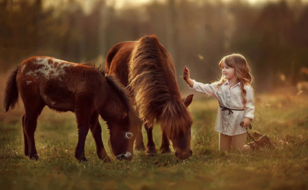 Пони: все секреты содержания, пород и мифов в одной статье